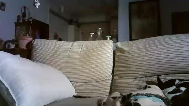 lolahueso Adult Chat November 17, 2025