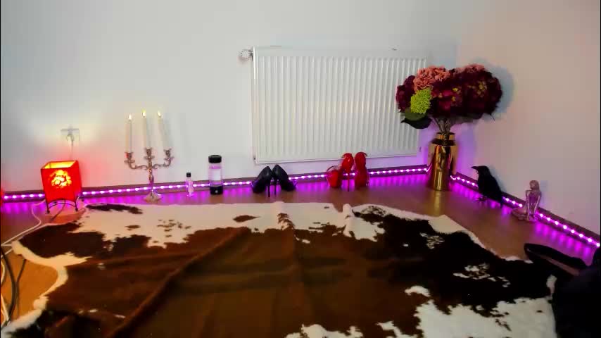 viciousqueen Adult Chat November 17, 2025