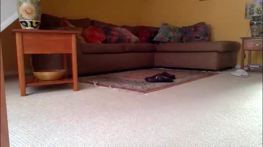 cumonherguys Adult Chat November 17, 2025