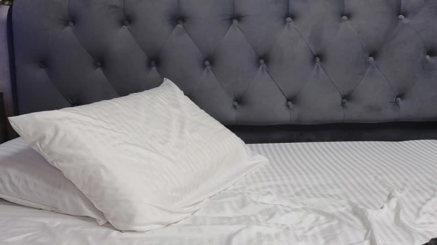 Strip-Lady Adult Chat November 17, 2025