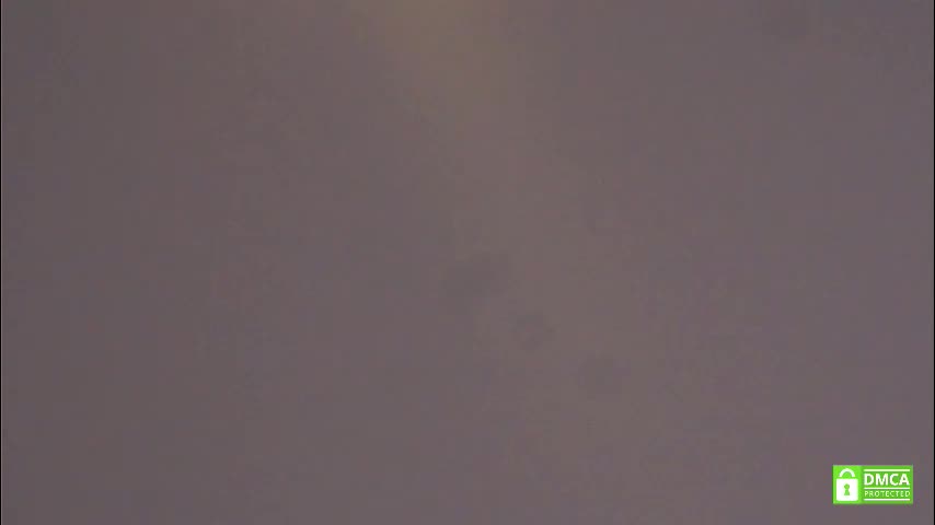 tashinapetitto Adult Chat November 17, 2025