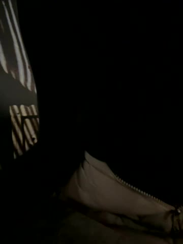 LikaCat Adult Chat November 17, 2025