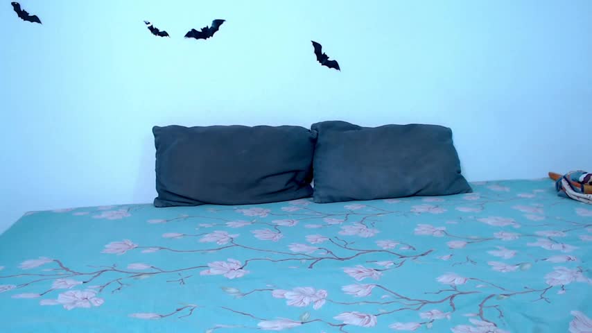 litle_owl Adult Chat November 17, 2025