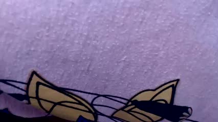 Veta-Viola Adult Chat November 17, 2025