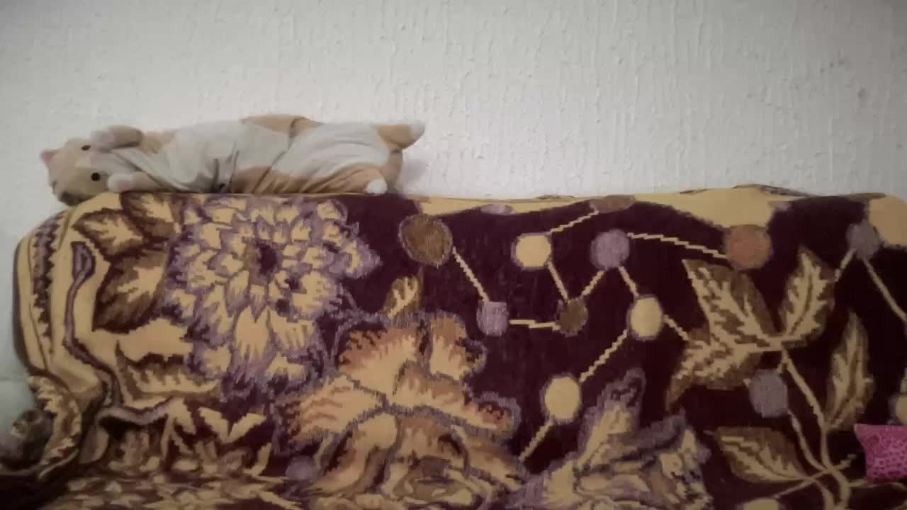 Natalii87 Adult Chat November 17, 2025