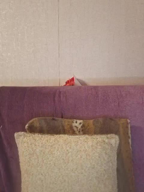 HaisonEris1 Adult Chat November 17, 2025