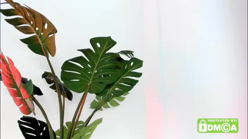 ashllovee_ Adult Chat November 18, 2025