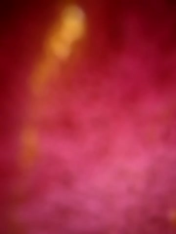 Lisenok_ Adult Chat November 18, 2025