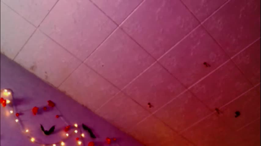 tits_your_dreams Adult Chat November 18, 2025