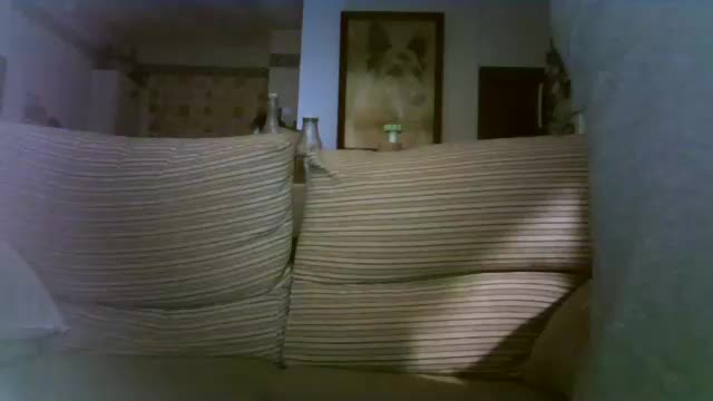 lolahueso Adult Chat November 18, 2025