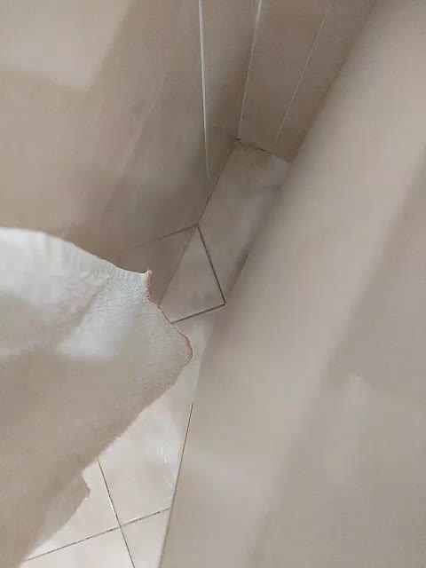 Paradise_1 Adult Chat November 18, 2025