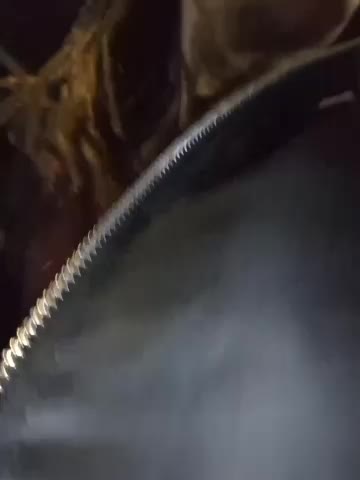 DarkDea Adult Chat November 18, 2025