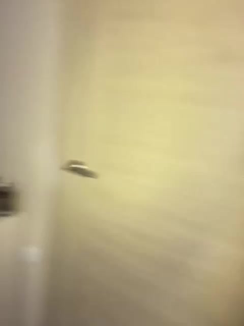 aesstheticss Adult Chat November 18, 2025