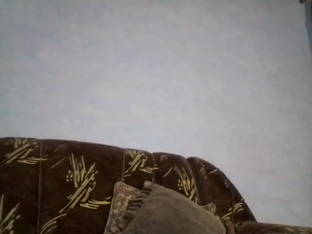 AnjelElinor Adult Chat November 18, 2025