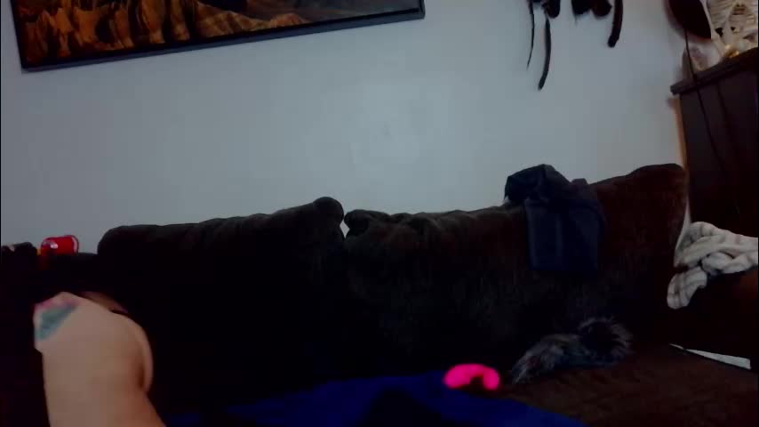 ghostandpepper Adult Chat November 18, 2025