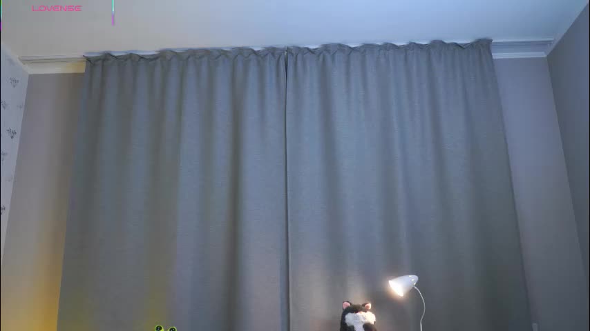 gladysacreman Adult Chat November 19, 2025