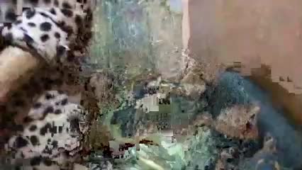 mmiissiiss1 Adult Chat November 19, 2025