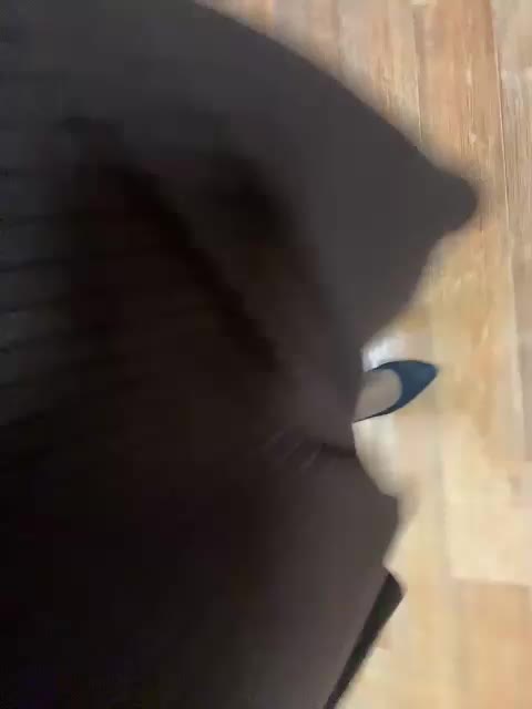 LustySass Adult Chat November 19, 2025