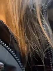 Porn_cornn Adult Chat November 19, 2025