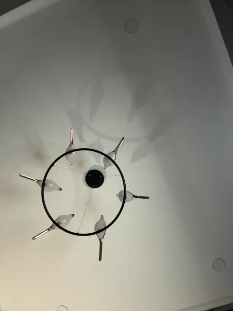 Roxysh Adult Chat November 19, 2025