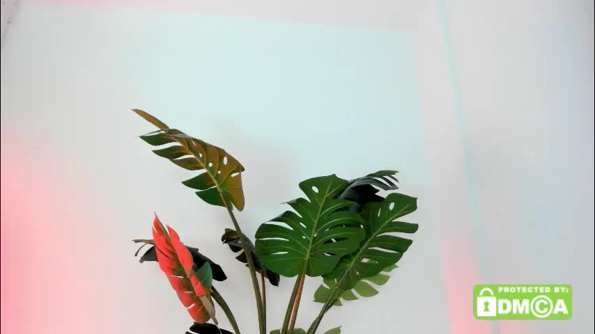 ashllovee_ Adult Chat November 20, 2025