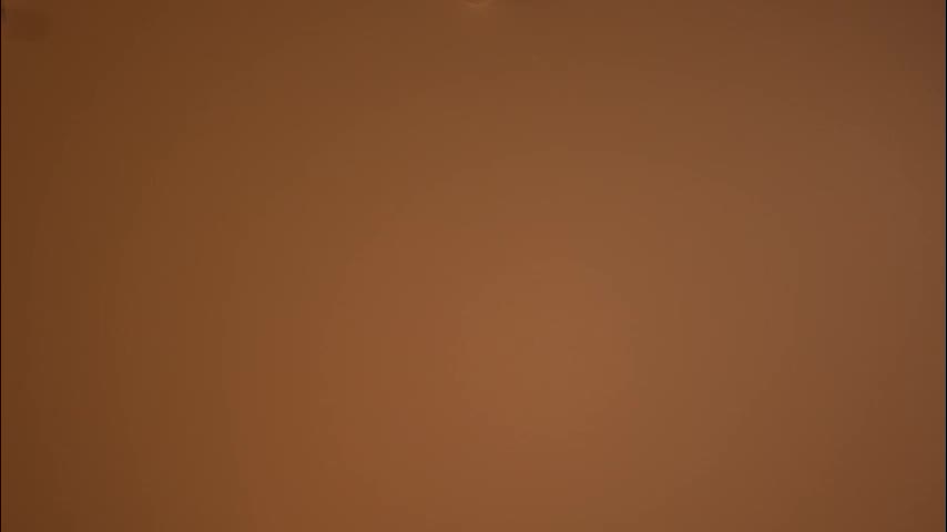 tollysage Adult Chat November 20, 2025