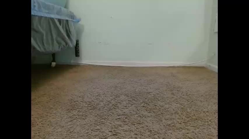 mizdanika Adult Chat November 20, 2025