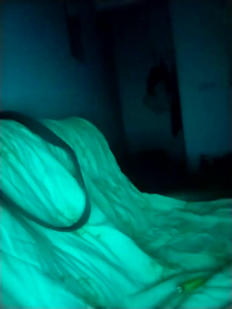 PrincessandSGP Adult Chat November 20, 2025