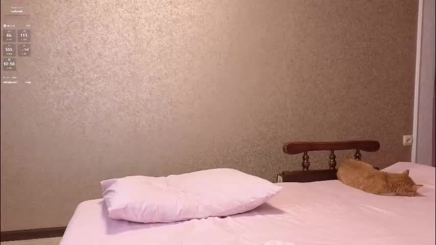 totallytiny_ Adult Chat November 20, 2025