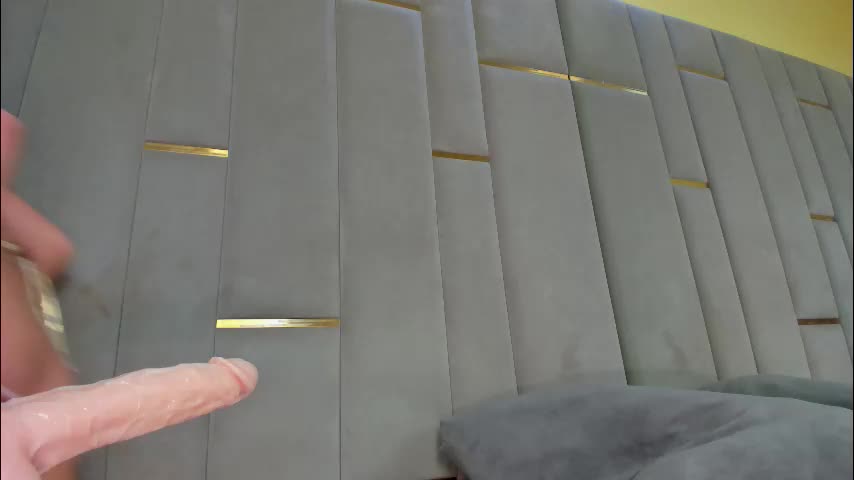 evalims Adult Chat November 20, 2025