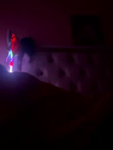 Flossy_Vettie Adult Chat November 20, 2025