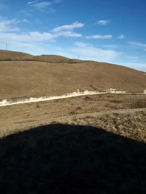 Alex80-201 Adult Chat November 20, 2025