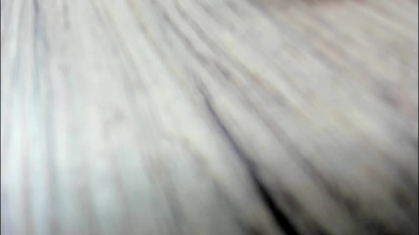 synop_sis Adult Chat November 20, 2025