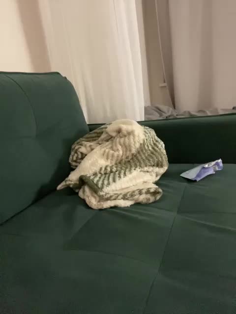 v_-_-_v Adult Chat November 21, 2025