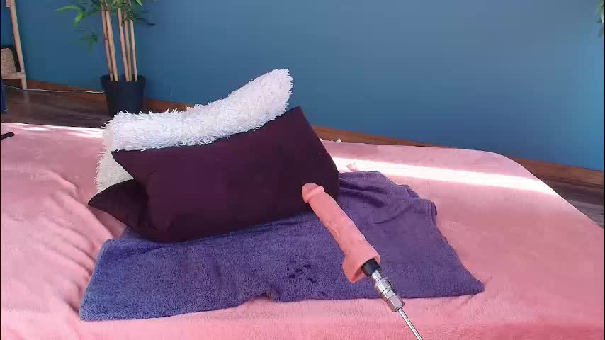 seven_sinsss Adult Chat November 21, 2025