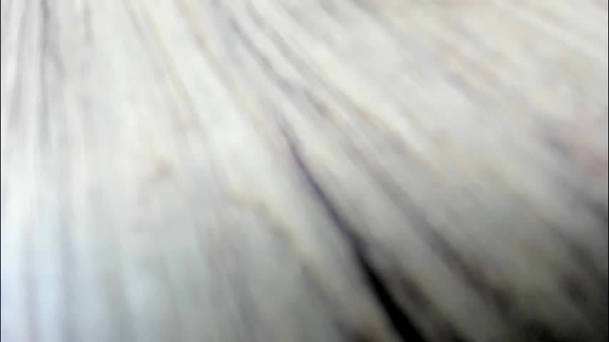 synop_sis Adult Chat November 21, 2025