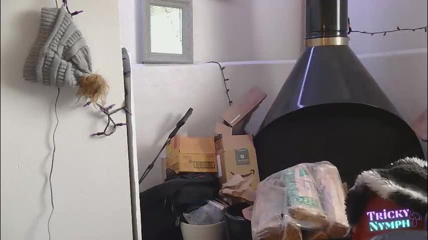 tricky_nymph Adult Chat November 21, 2025