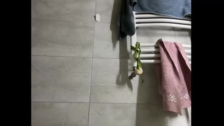 holydori Adult Chat November 21, 2025