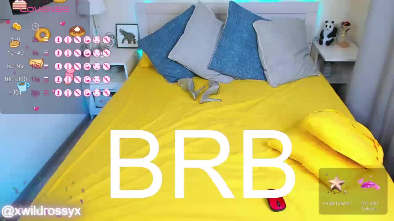 wildrossy Adult Chat November 21, 2025