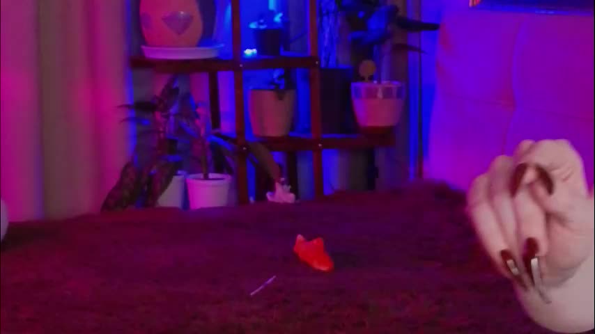 lilyconor Adult Chat November 22, 2025