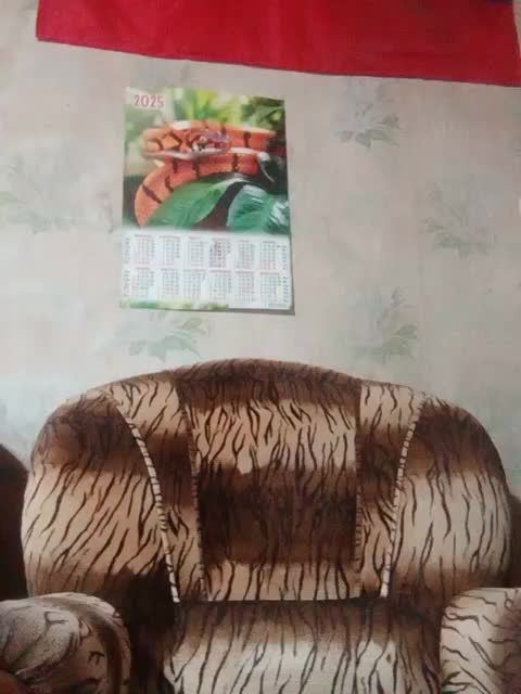 Calibriya Adult Chat November 22, 2025