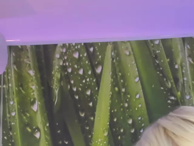 HollyTaillor Adult Chat November 22, 2025