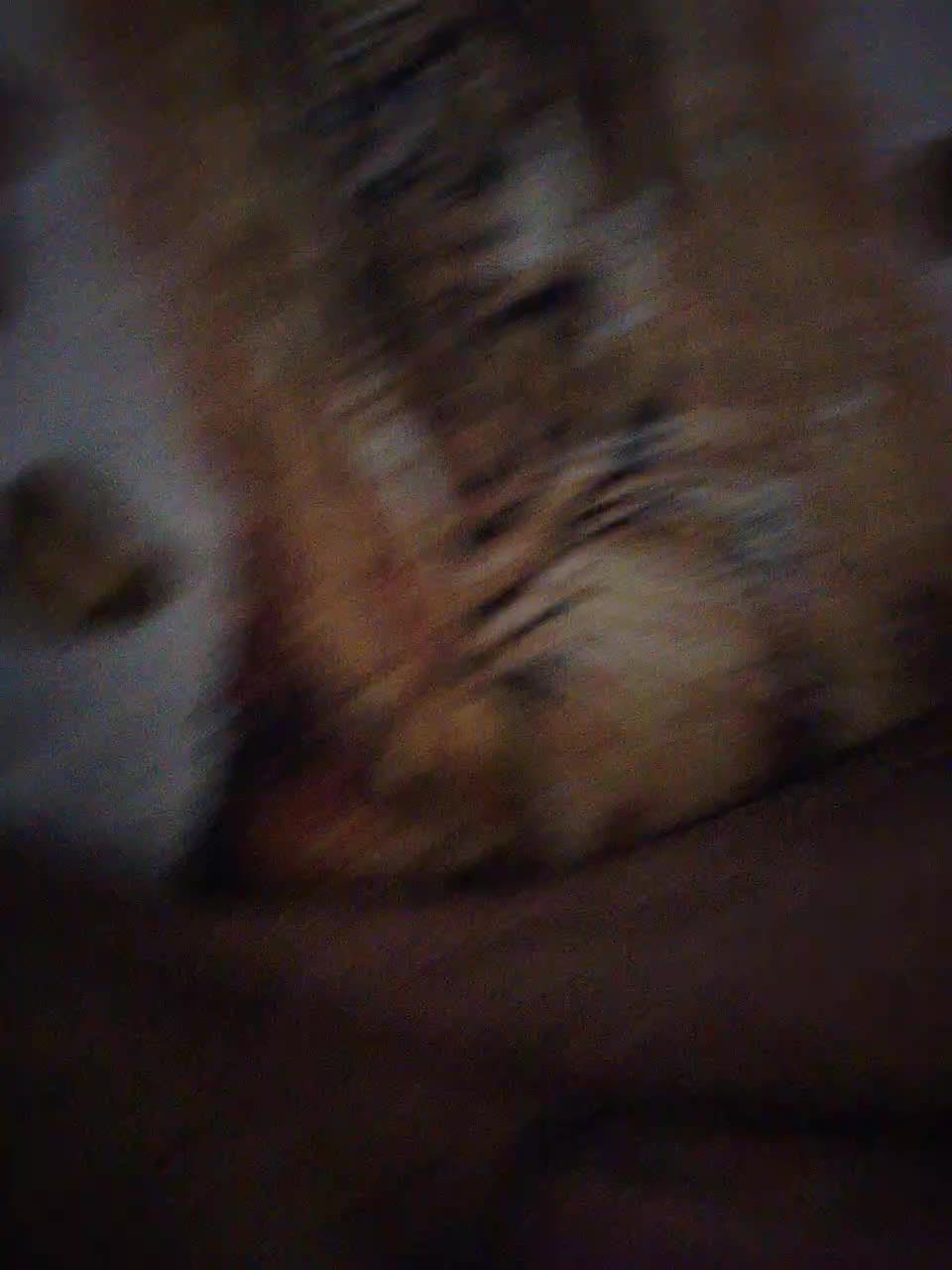 Porochka777 Adult Chat November 22, 2025