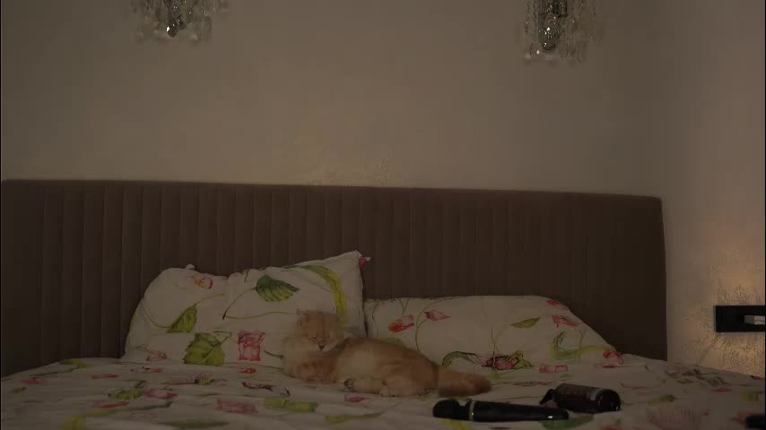 snow_is_falling Adult Chat November 22, 2025