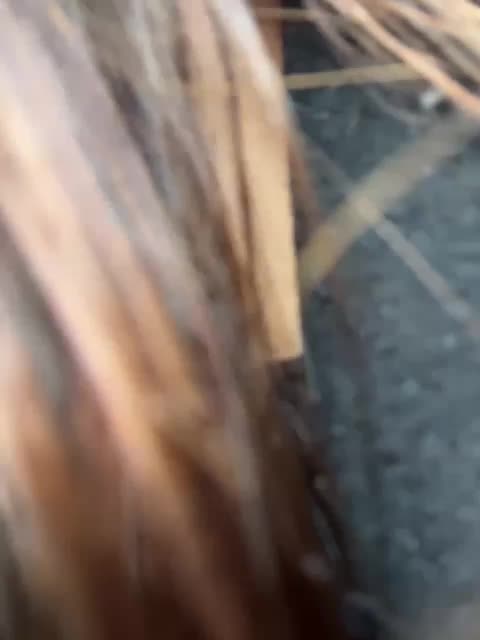 Marianna_ Adult Chat November 22, 2025