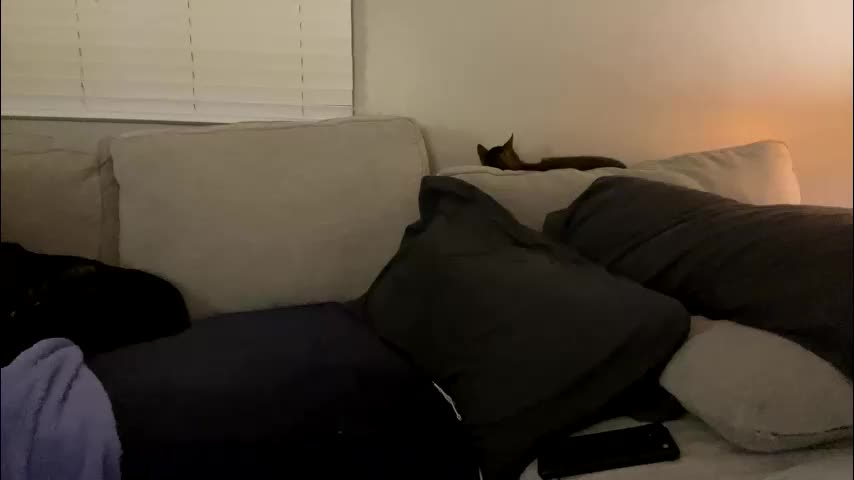 goddessmayvn Adult Chat November 22, 2025