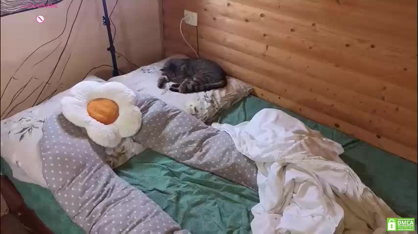 emiliyafox Adult Chat November 23, 2025