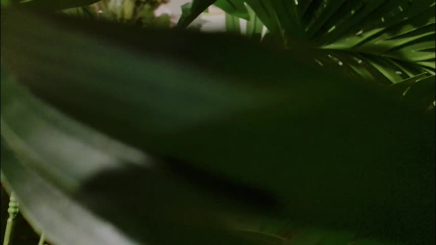 imcarrieberry Adult Chat November 23, 2025