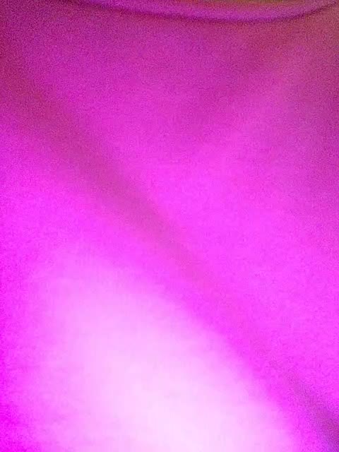 E1eanorEusTacias Adult Chat November 23, 2025