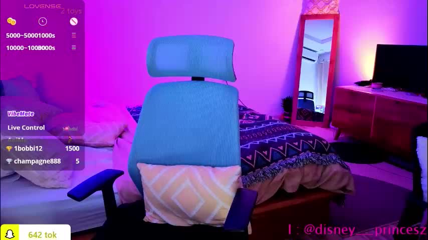 disney__princess Adult Chat November 24, 2025